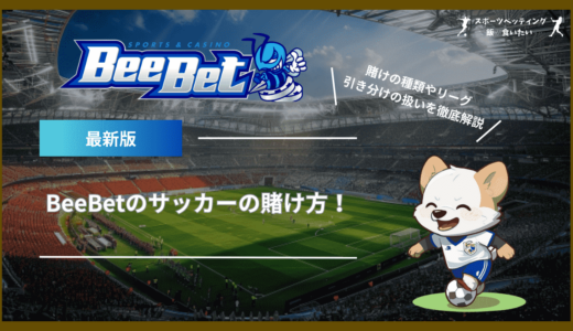 BeeBet(ビーベット)のサッカーの賭け方！賭けの種類やリーグ、引き分けの扱いまで徹底解説