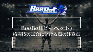 BeeBet(ビーベット)の格闘技の試合に賭ける際の注意点