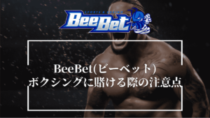 BeeBet(ビーベット)でボクシングに賭ける際の注意点