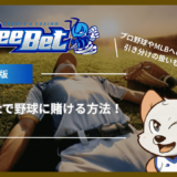 BeeBet(ビーベット)で野球に賭ける方法！プロ野球やMLBへの賭け方・引き分けの扱いも解説