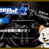 BeeBet(ビーベット)の相撲の賭け方！写真付きでベット方法を解説