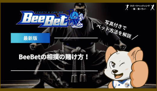 BeeBet(ビーベット)の相撲の賭け方！写真付きでベット方法を解説