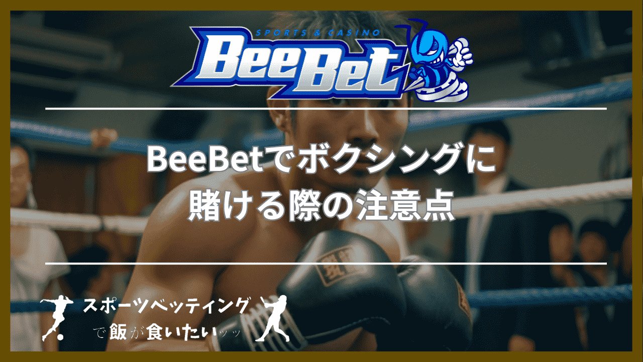 BeeBet(ビーベット)でボクシングに賭ける際の注意点