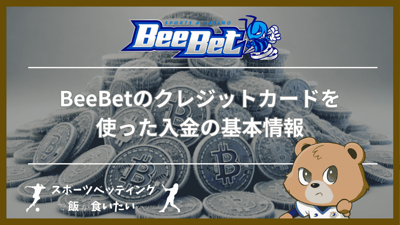 BeeBet(ビーベット)のクレジットカードを使った入金の基本情報