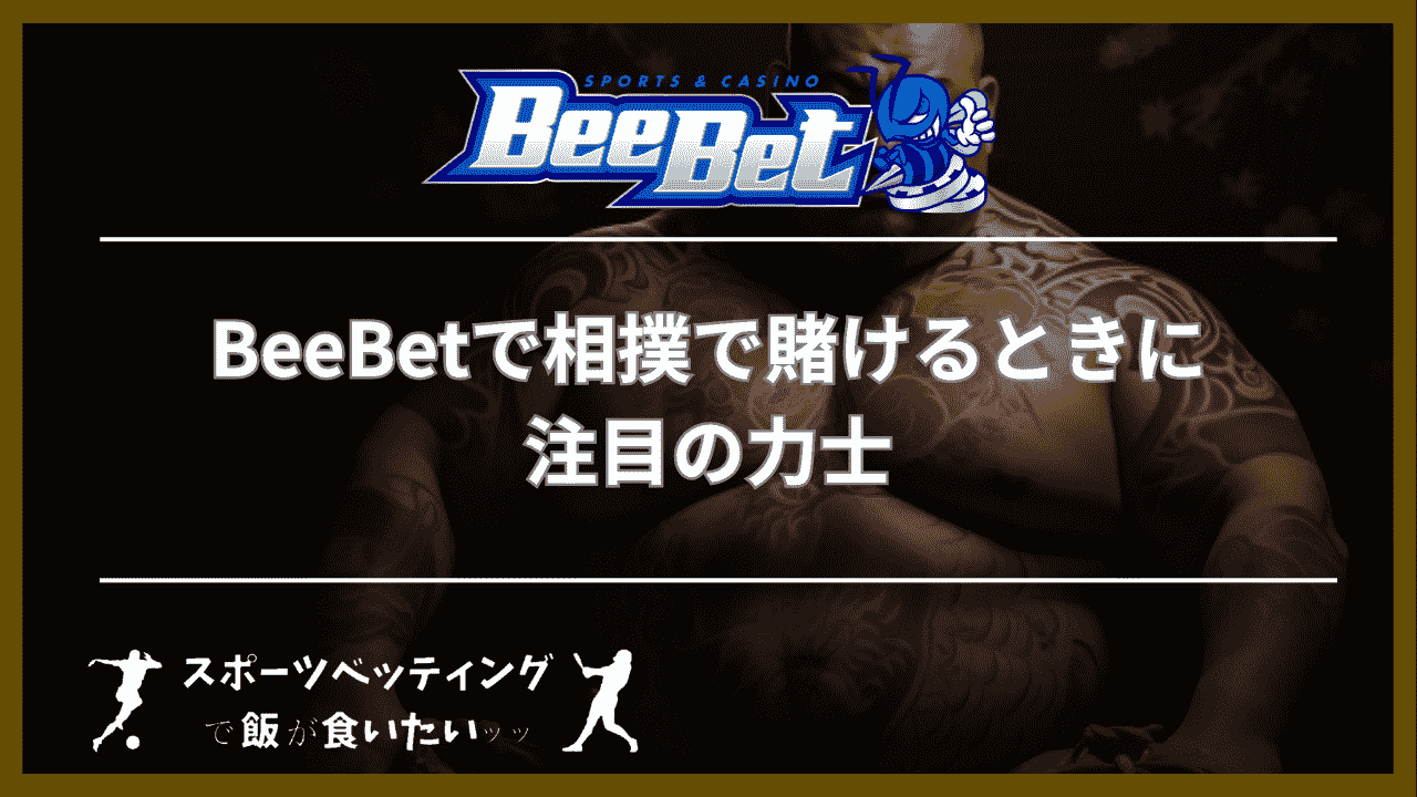 BeeBet(ビーベット)で相撲で賭けるときに注目の力士