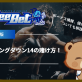 BeeBet(ビーベット)のブレイキングダウン14の賭け方！ボーナス情報、儲かるかについても解説