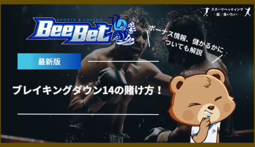 BeeBet(ビーベット)のブレイキングダウン14の賭け方！ボーナス情報、儲かるかについても解説