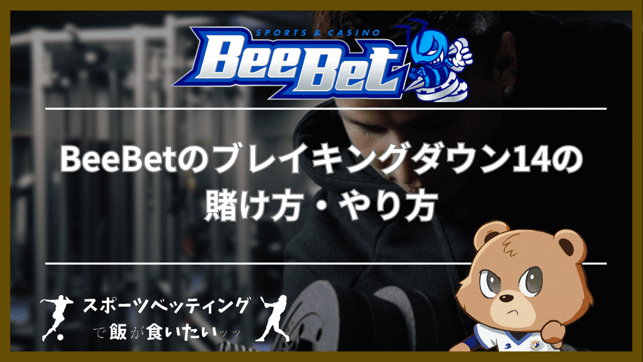 BeeBet(ビーベット)のブレイキングダウン14の賭け方・やり方