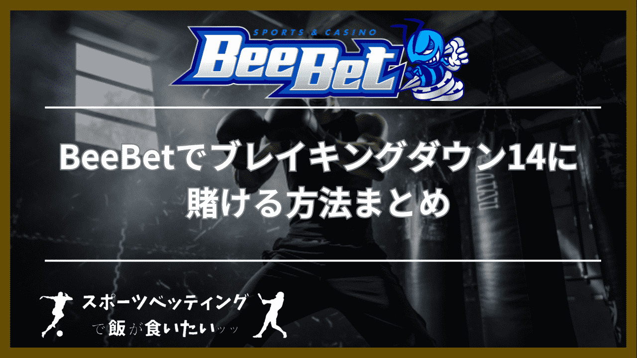 BeeBet(ビーベット)でブレイキングダウン14に賭ける方法まとめ