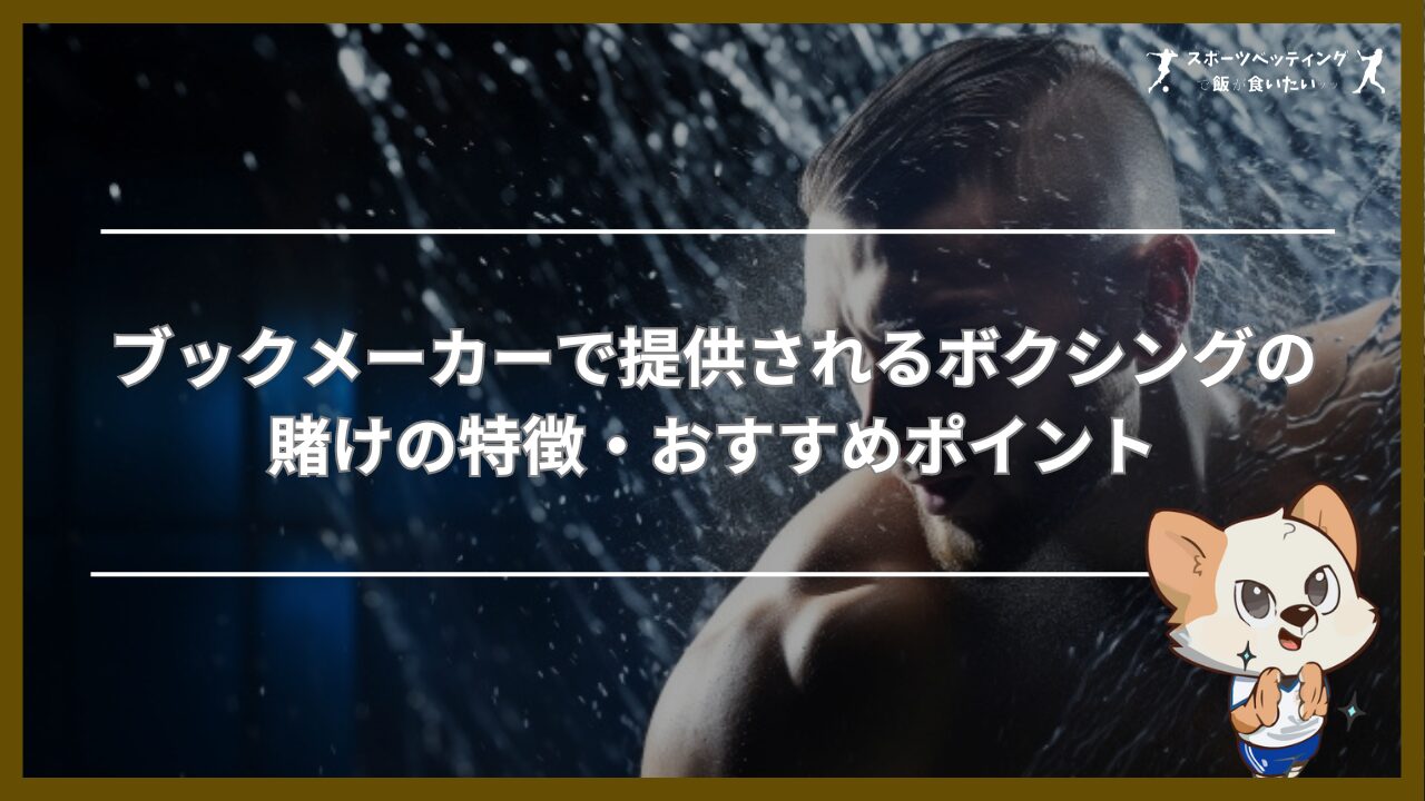 ブックメーカーで提供されるボクシングの賭けの特徴・おすすめポイント