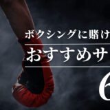 ボクシングの賭けにおすすめのブックメーカーTOP6！海外居住者に向けた日本語賭けサイト