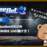 BeeBet(ビーベット)のRIZIN LANDMARK 10の賭け方！キャンペーン情報やオッズも紹介