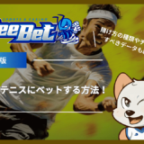 BeeBet(ビーベット)でテニスにベットする方法！賭け方の種類やチェックすべきデータも紹介