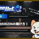 BeeBet(ビーベット)のRIZIN DECADEの賭け方！キャンペーン情報やオッズも紹介