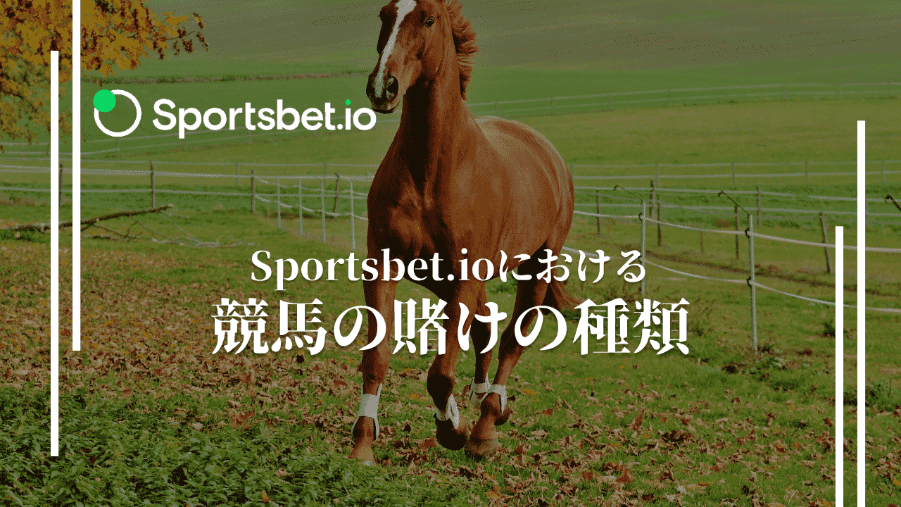スポーツベットアイオー(Sportsbet.io)　競馬　賭け方