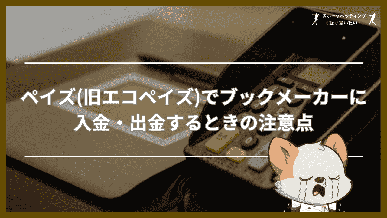 ペイズ(旧エコペイズ)でブックメーカーに入金・出金するときの注意点