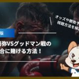 井上尚弥VSグッドマン戦の試合に賭ける方法！オッズや勝敗予想、視聴方法を解説