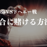 井上尚弥VSドヘニー戦の試合に賭ける方法！オッズや勝敗予想、視聴方法を解説